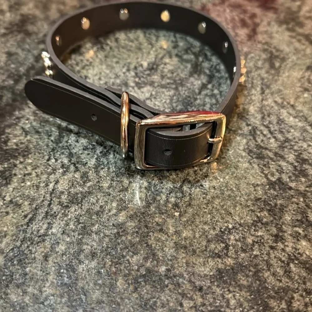 Top Paw Black Studded Leather Collar